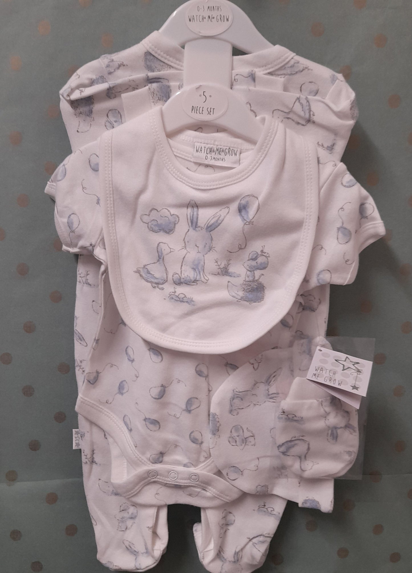 Babywear 5 Piece Set, Small Animal and Cloud, Blue