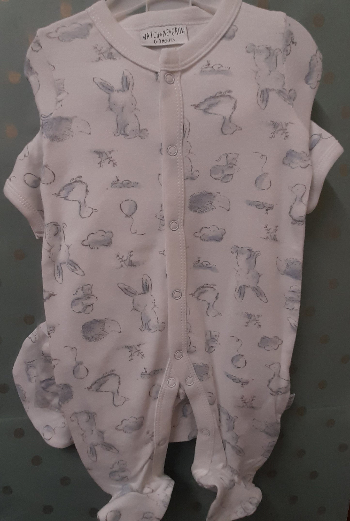 Babywear 5 Piece Set, Small Animal and Cloud, Blue